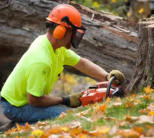 tree services Gasport